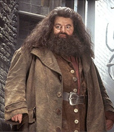 Hagrid3.jpg